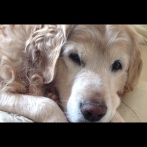 Meet your Posher, Mara